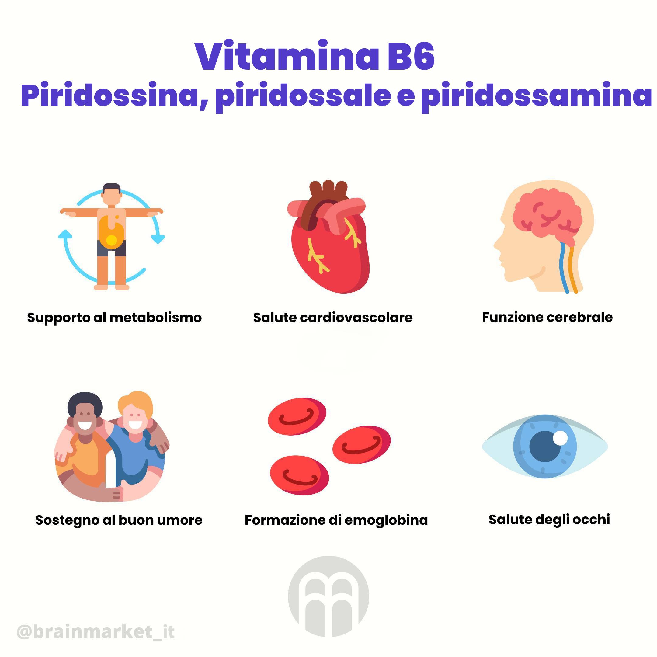 Brainmarket infografica sulla vitamina B6 piridossina CZ